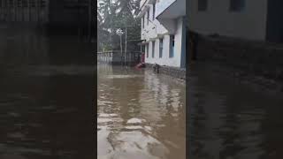 Floods at Guruvayur Town #Guruvayur #Keralarains