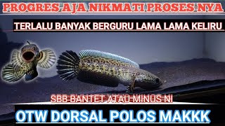 MAKK DORSAL POLOS MAKK,BOCIL GANTENG MASUK PROGRES DORSAL HIGH POLOS JANGAN SEPELEKAN #auranti #sbb