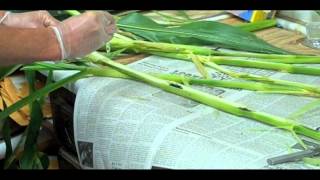 Outdoor advice: Forage testing.mov