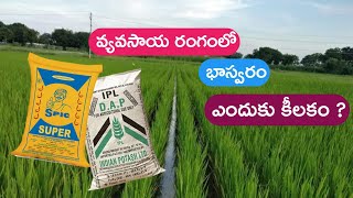 వ్యవసాయరంగంలో భాస్వరం ఎందుకు కీలకం | DAP Fretilizer | SSP Fertilizer full information in telugu