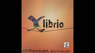 Xlibrio / Algo Entre Tu y Yo (Expresiones Musicales)