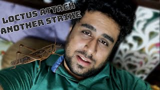 Brace Yourself They are Coming || Locust Attack || Vlog #9