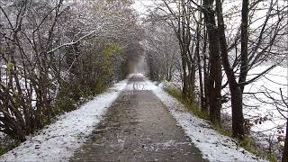 De trambaan te Sint-Lievens-Houtem in de winter