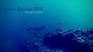 Festival de l'Océan - Baleine d'Argent 2015 - Franck FARIA - Apnée Réunion 2014