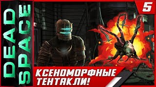 Dead Space ► Ксеноморфные Тентакли! #5