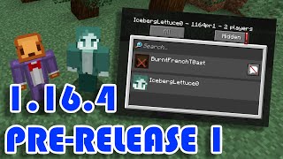 Minecraft 1.16.4 Pre-Release 1 | New Multiplayer Muting Menu! | Snapshot Summary