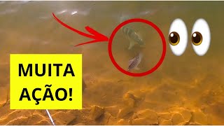 ELES ESTAVAM MALUCOS! MUITA AÇÃO na pescaria dos azuis!