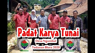 PADAT KARYA TUNAI DESA NGUMBUL Kecamatan Todanan Kabupaten Blora Tahun 2020