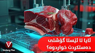 ئایا تا ئێستا گۆشتی دەستكردت خواردووە ؟