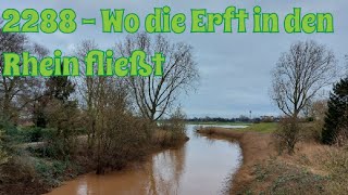 2288 - Wo die Erft in den Rhein fließt | #wandern #hiking #wanderblog #niederrhein #shorts