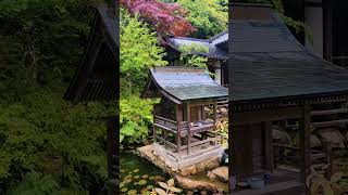 Isla Miyajima, Japón #travel #viajarajapon #japon #miyajima