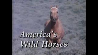 America's Wild Horses (1987)