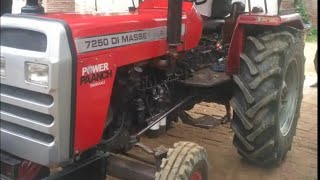 massey 7250 for sale