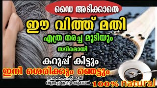 ഈ വിത്ത് ഉണ്ടോ?? നരമാരികിട്ടും /kareenjeeragam oil /poppy vlogs/malayalam