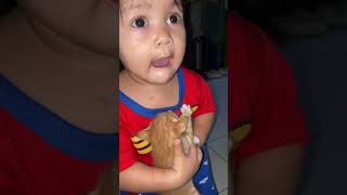 Kocaaak! Kucingnya manjat badan 🤣 #shortvideo #shorts #cat #kucinglucu