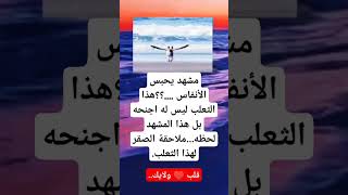 مشهد يحبس الانفاس....؟؟هذا الثعلب ليس له اجنحه بل هذا المشهد لحظه... ملاحقه الصقر#لايك #اكسبلورر #mu