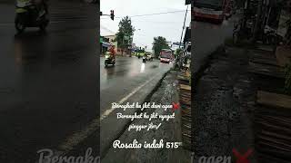 #bus rosalia indah