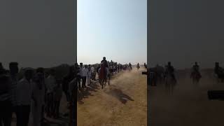 kathiyavadi horse reval chal race