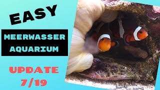 EASY Meerwasseraquarium [Update #2]