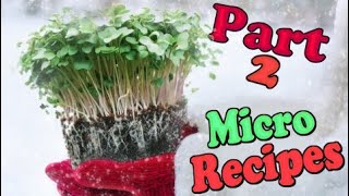 Growing Micro Greens as part of Your Winter Garden - Part 2 My Progress & Micro Recipes