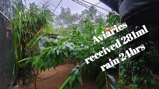 Aviaries have had 281ml of rain in 24hrs.