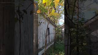 FLOOD ZONE ABANDONED BOAT & HOUSE #shorts #abandoned #urbex #flood #abandonedplaces #scary #creepy