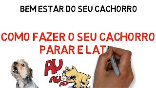 Cachorro Latindo Direto? Saiba Como Fazer Parar