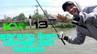 Karawang masih Asri mancing di Sarang ikan Tawes dan Melem/nilem