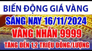 Giá vàng hôm nay 16/11/2024: vàng nhẫn 9999 tăng đến 1,2 triệu đồng/lượng, SJC đứng yên