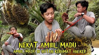 BERBURU LEBAH HANYA PAKE ROKOK MAGNUM SAJA