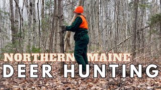 Deer Hunting In Northern Maine // Walking a Scrape Line // Setting Cameras