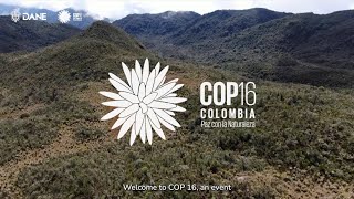 COP 16 | El rol crucial del DANE en la protección de la biodiversidad 🌎✨