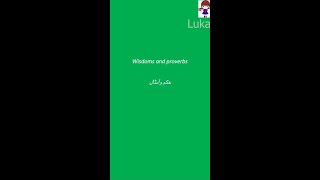 الكذب ليس له رجلين.. 11 حكمة باللغة الانجليزية والعربية تعرفها لأول مرة مع لوكا