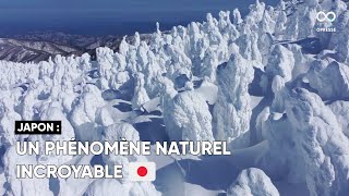 Un phénomène naturel a créé des "monstres des neiges" sur le mont Zao