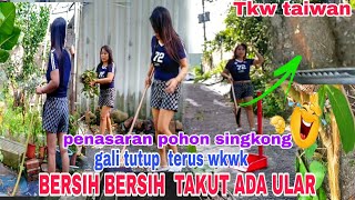 AKTIVITAS KESEHARIAN // TKW TAIWAN MAU PANEN SINGKONG MALAH ZONK WKWK