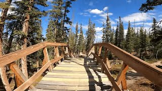 Trestle Bike Park - Spicy Chicken