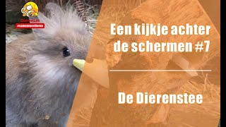 Een kijkje achter de schermen #8 - De Dierenstee