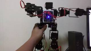 Arduino 17 DOF Biped Robot - Test 1 Preprogrammed Movements