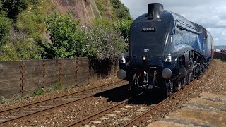 4498 (60007) Sir Nigel Gresley and 47593 "Galloway princess" head through Teignmouth 6/7/24