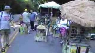 parrot tiki parade float