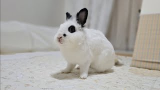 9월13일 라이브🐰