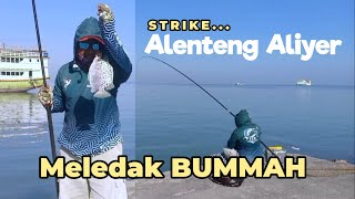 Strike Meledak!!! Mancing Baronang MONSTER SUPER