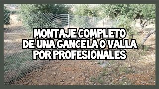 ¿Como montan los profesionales una valla o gancela? Expliacion de como lo han hecho en mi casa. :)