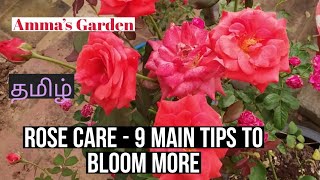 Rose Plant Care - 9 main tips to bloom more flowers | Amma's Garden | தமிழ் | Wecritic |