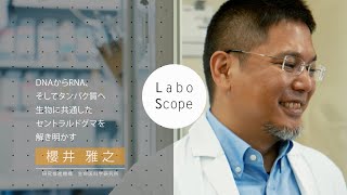 Labo Scope（研究推進機構 生命医科学研究所 櫻井研究室）