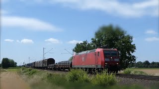 BR 185, 101, Vectron und mehr bei Weinheim Lützelsachsen!