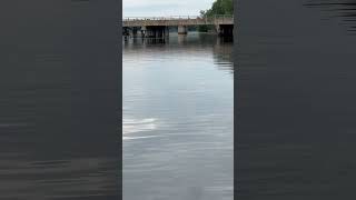 Low clearance 😳did we make it? #pontoon #boat #lake #howlowcanyougo #fun