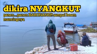 Panen!!! Mancing Baronang sampai BOSAN MANCINGNYA