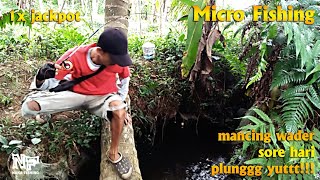 micro fishing || mancing wader plunggg yuttt || hiburan di sore hari #microfishing #macingwader