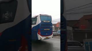 Bis LAJU PRIMA | Bojonegoro - Jakarta #videoshort #bismaniacommunity #fypyoutube